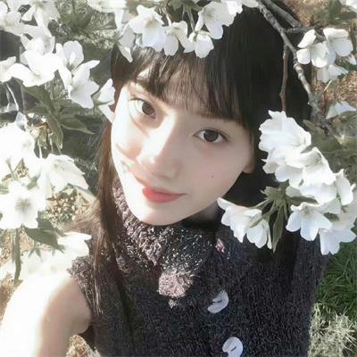 看似平凡的故事